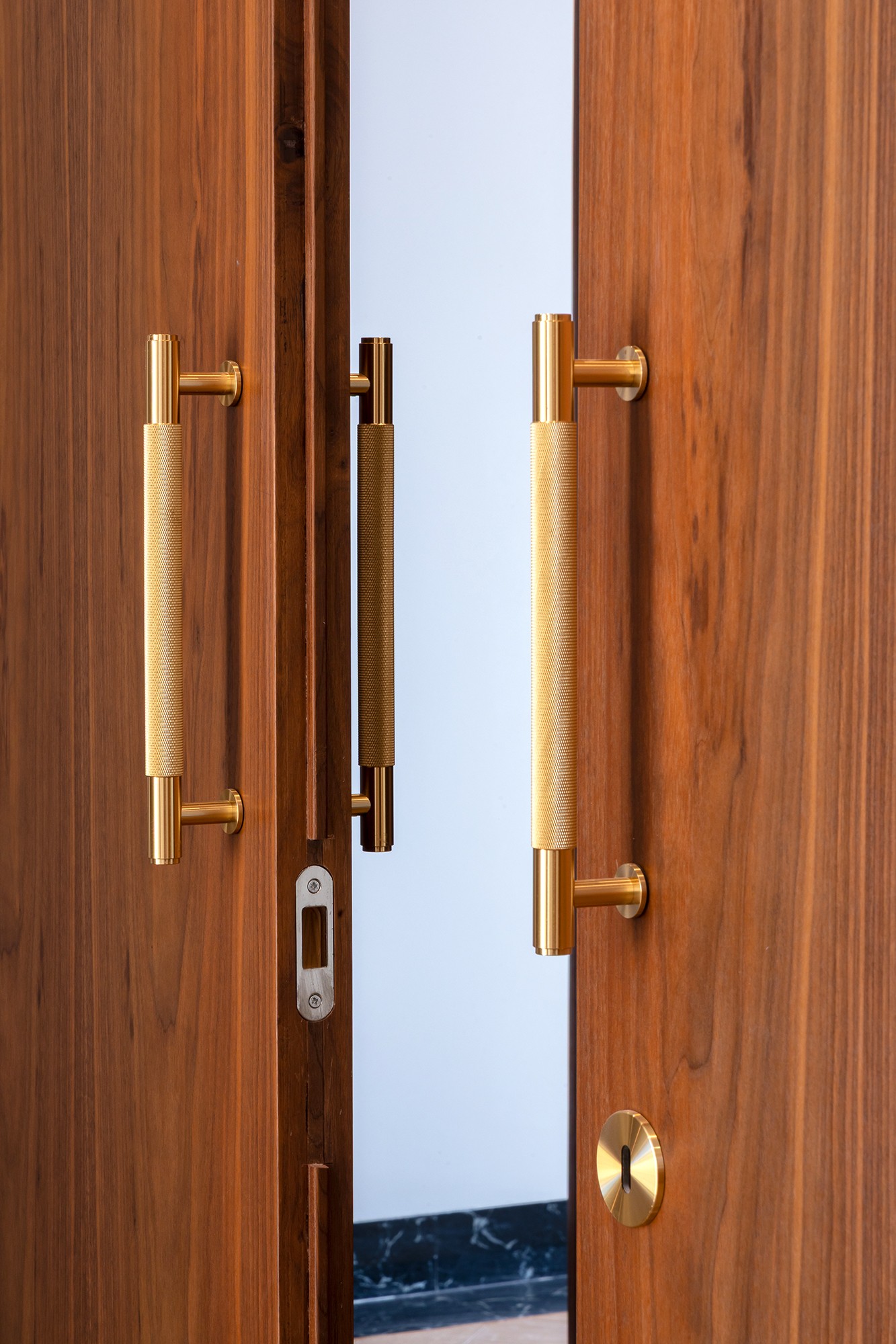 Bronze door handle detail